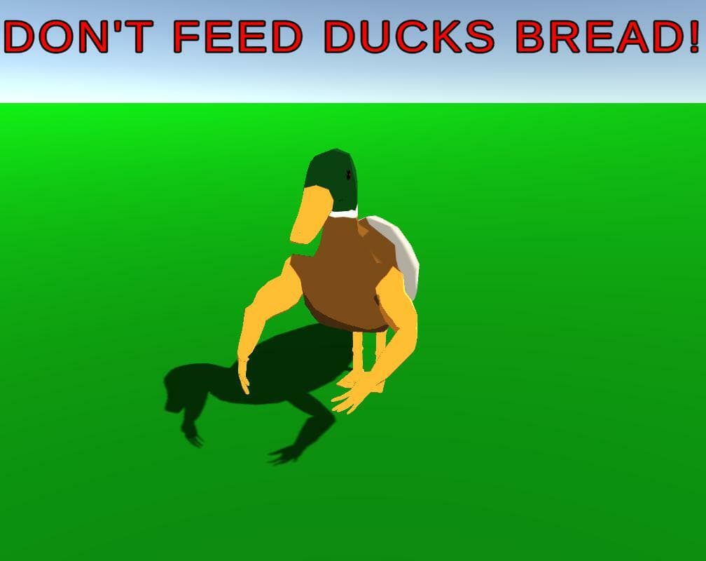 DontFeedDucksBread