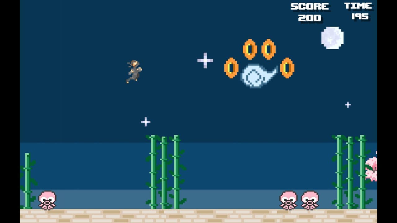 Super Ninja Bros