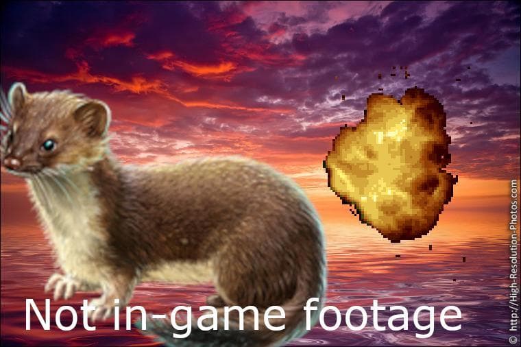 IMF 2