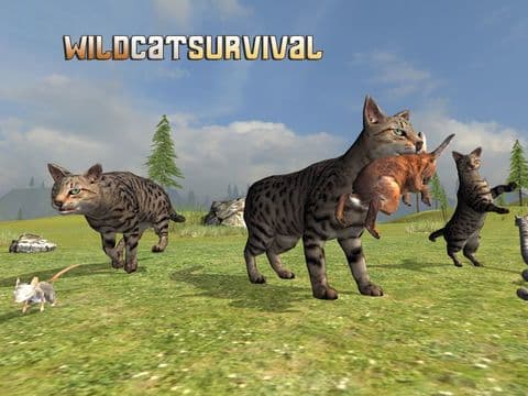 Wild Cat Survival screenshot 2