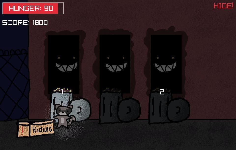 Raccoonist