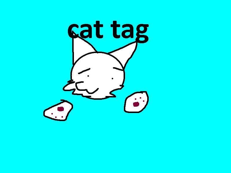 Cat tag 2 for quest and quest 2