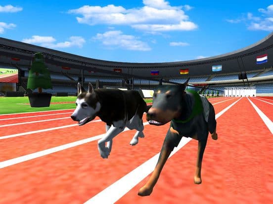 Crazy Racing Dog Simulator screenshot 2