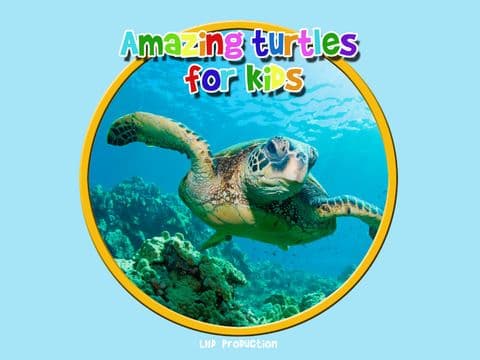 amazing turtles for kids - free screenshot 2