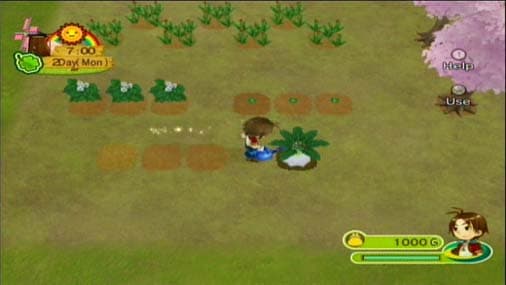 Harvest Moon: Animal Parade screenshot 4