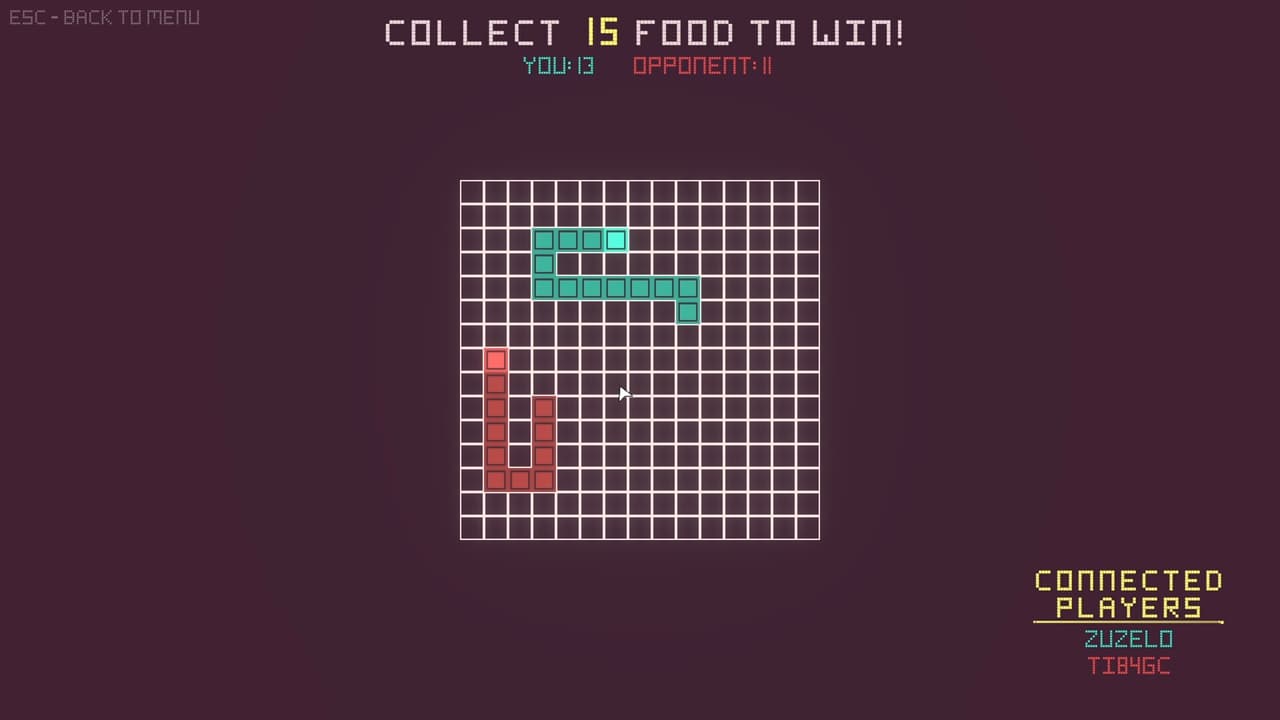 SnekMP screenshot 2