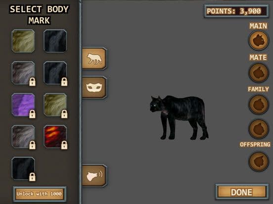 Cats of the Forest