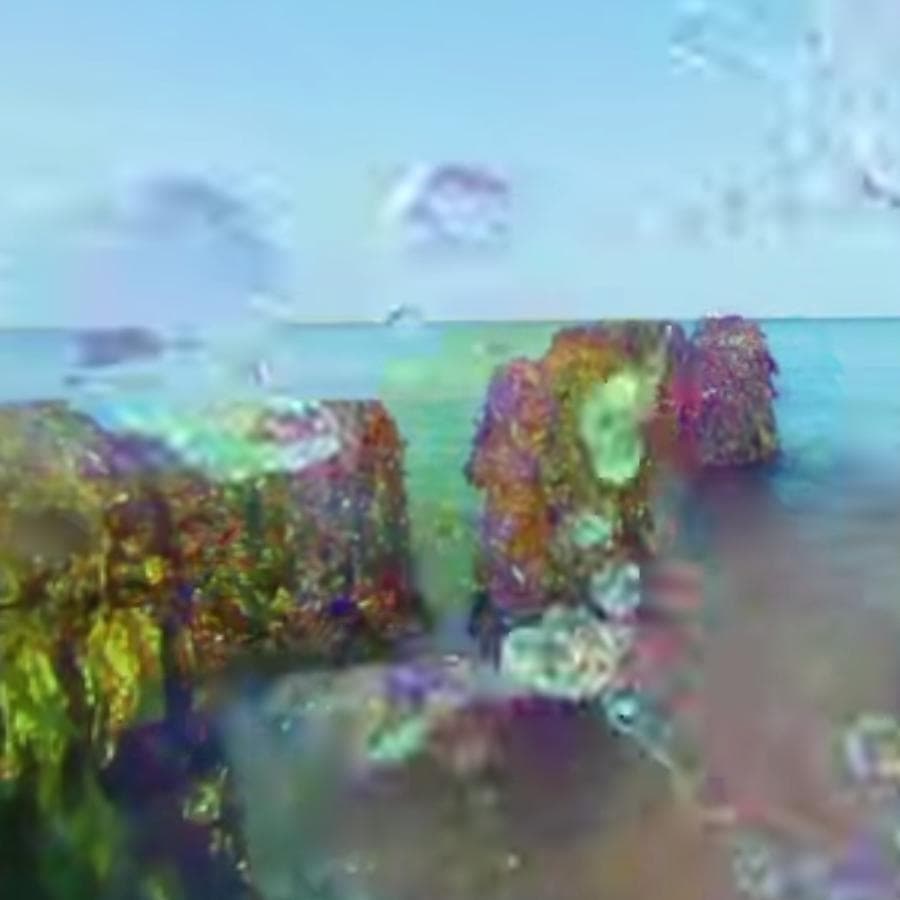 Computer Beach