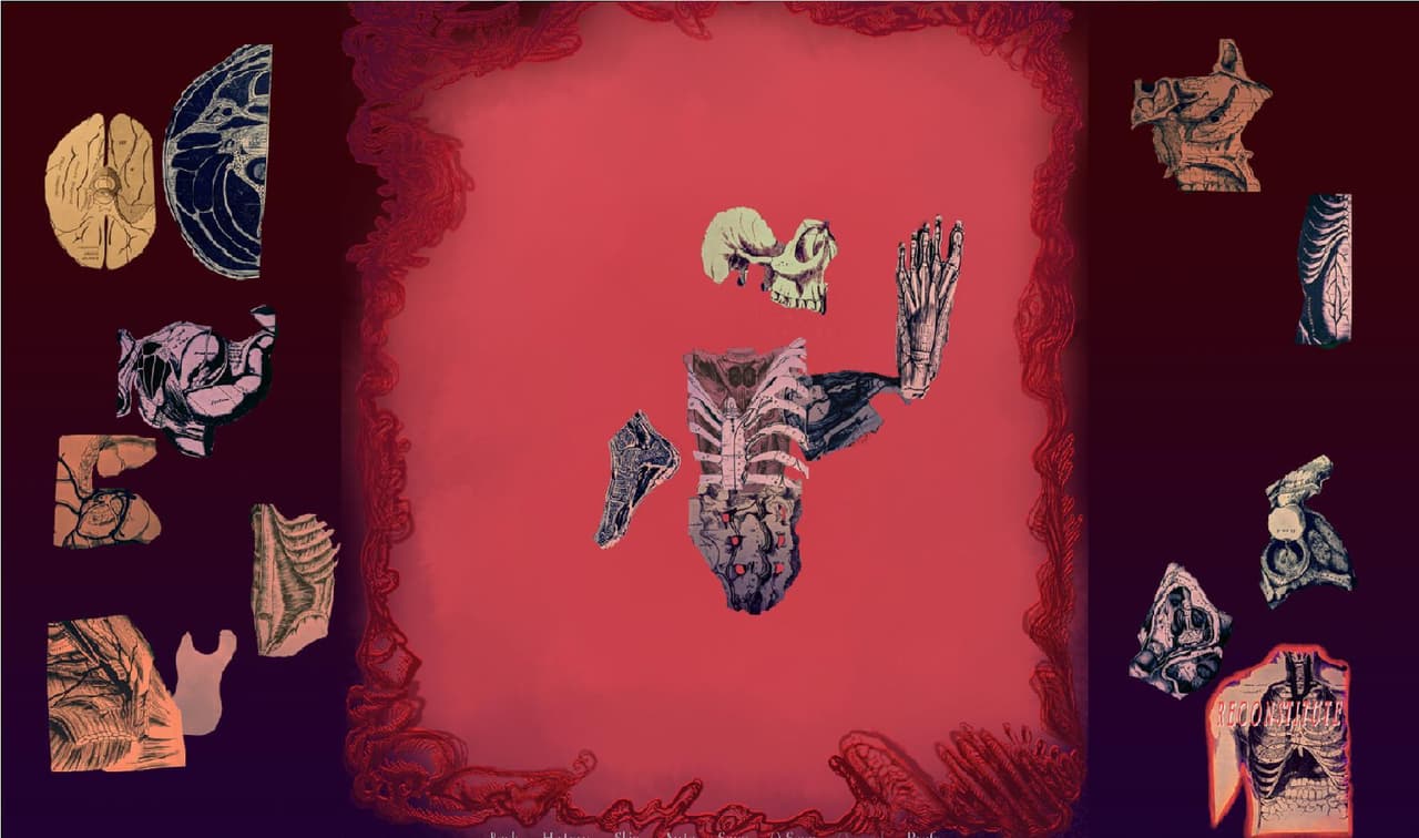 A Night for Flesh and Roses screenshot 3