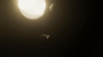 moths screenshot 3