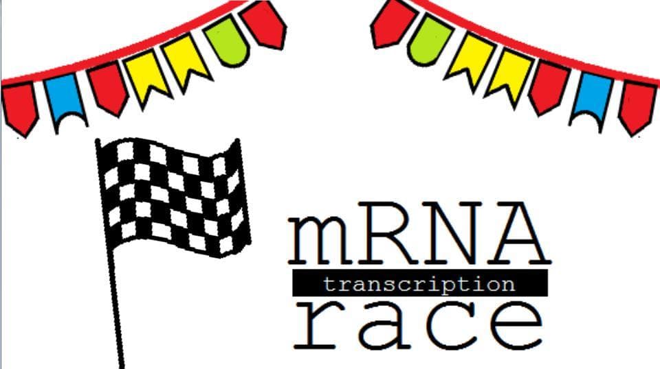 The mRNA Transcription Race screenshot 3