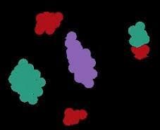 Particle Life Simulator screenshot 4