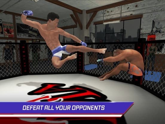 MMA Fighting 3D