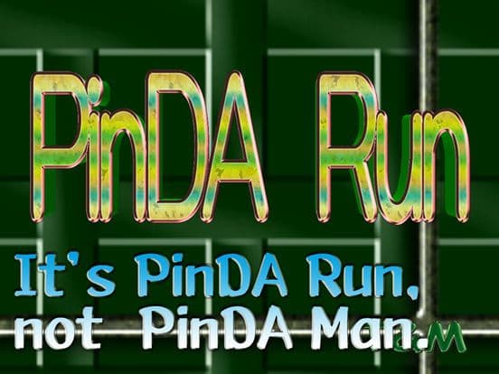 PinDA Run