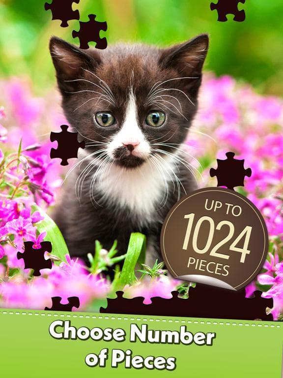 Jigsaw Puzzle Pro screenshot 5