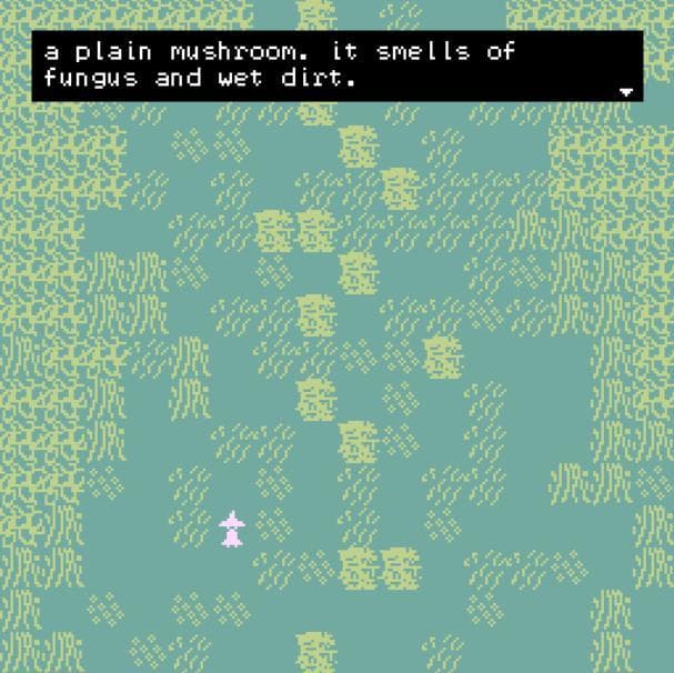 Mushroom Forager