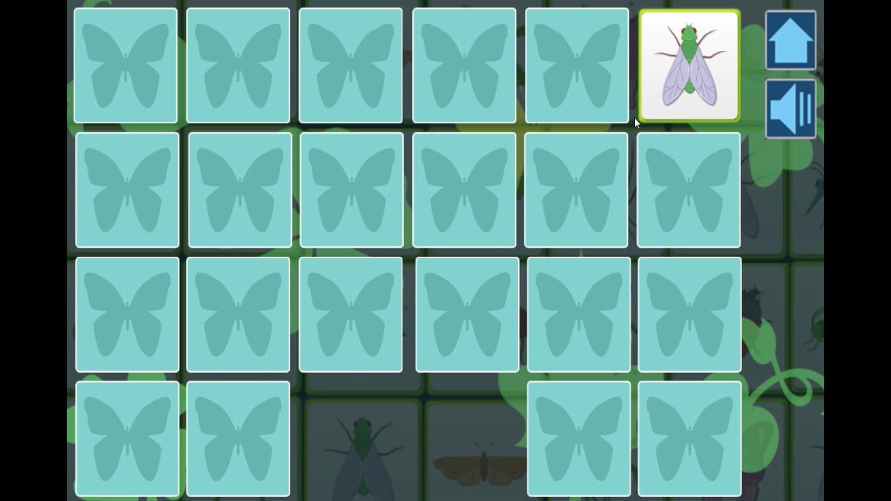 Insects screenshot 6