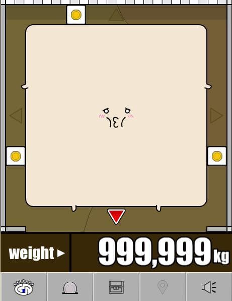 DIET screenshot 4