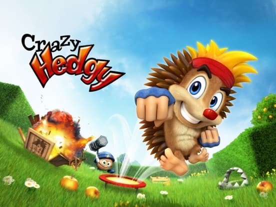 Crazy Hedgy - 3D Platformer