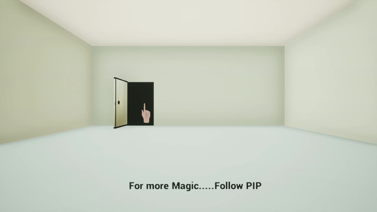 Meet PIP screenshot 4