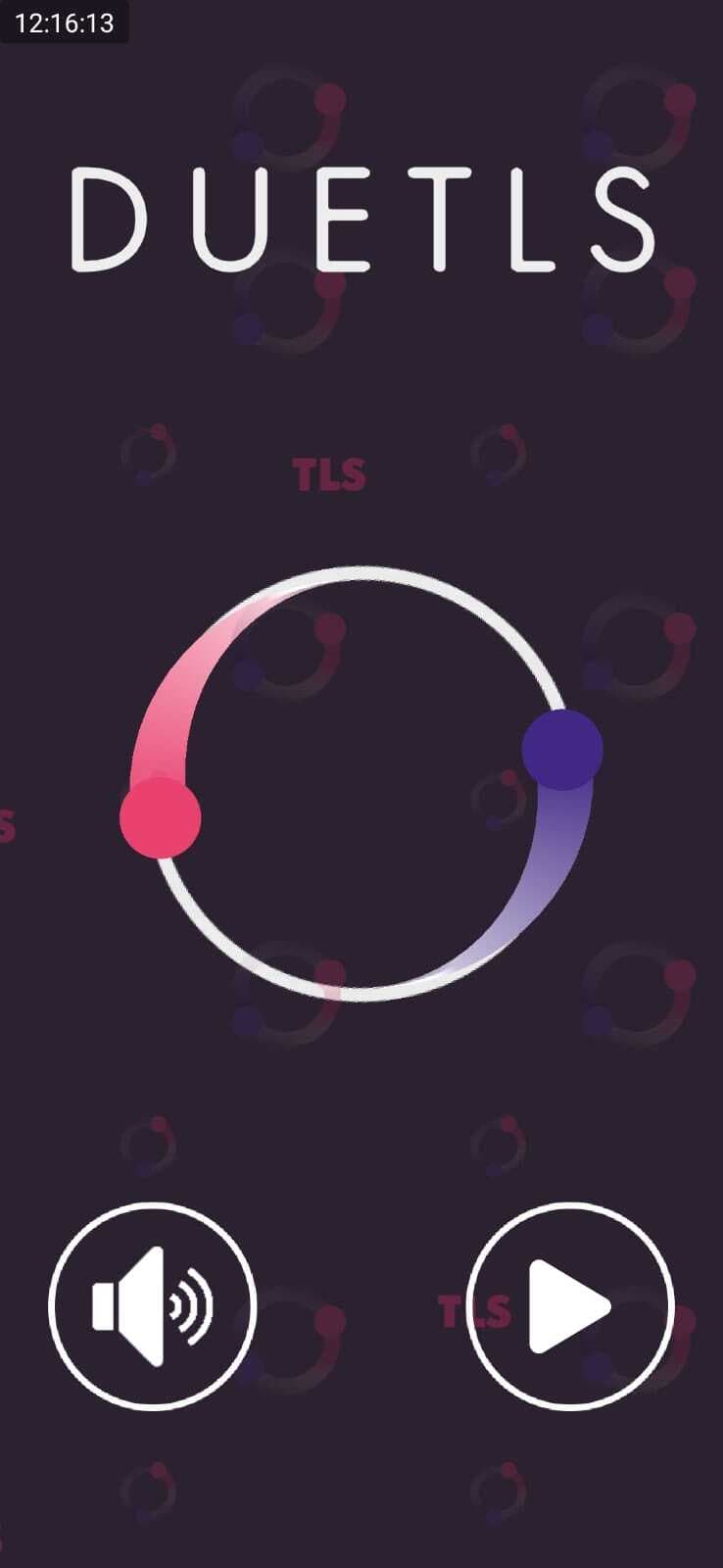 DueTLS screenshot 2