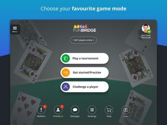 Fun Bridge screenshot 5