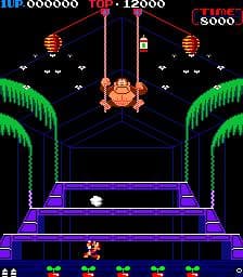Donkey Kong 3 screenshot 3