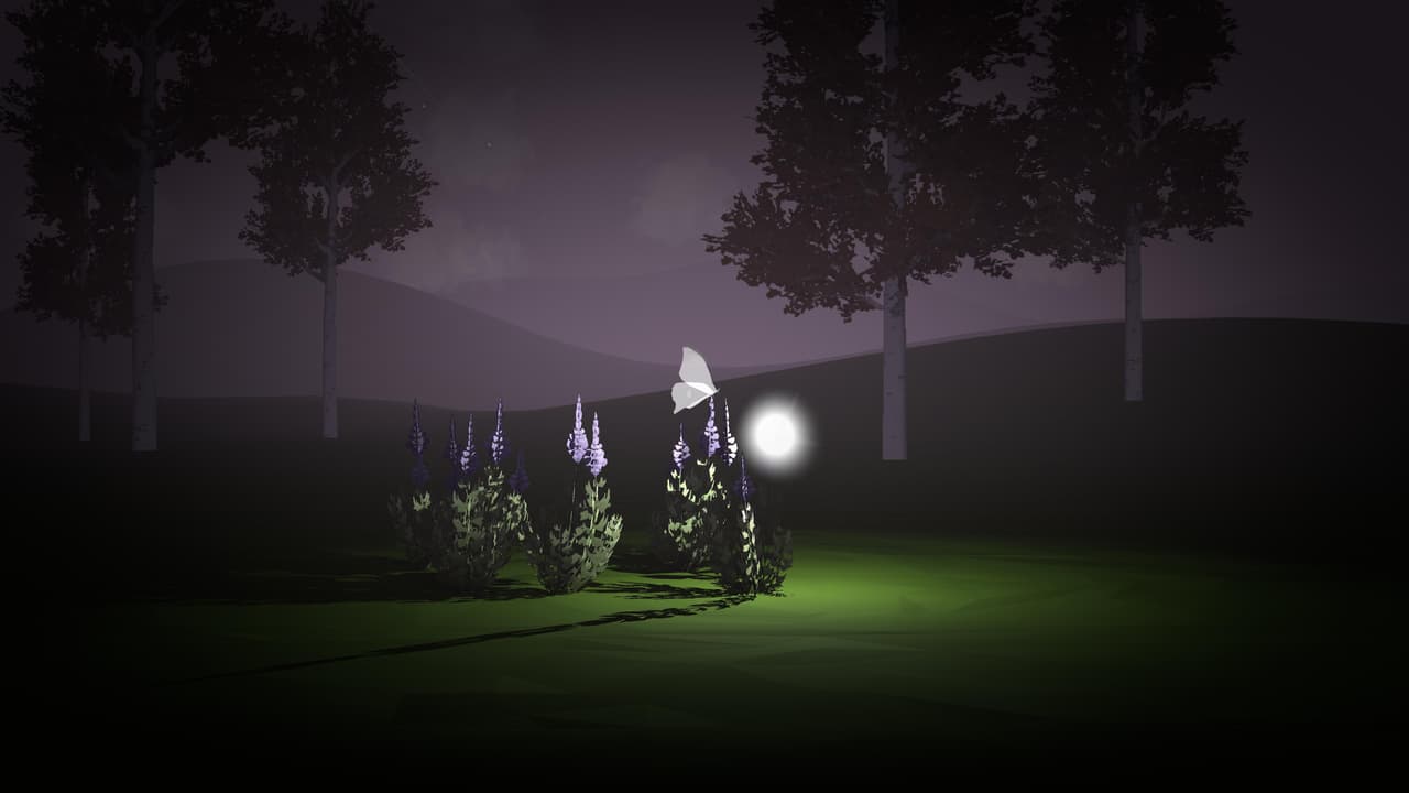 Drawn to the Light