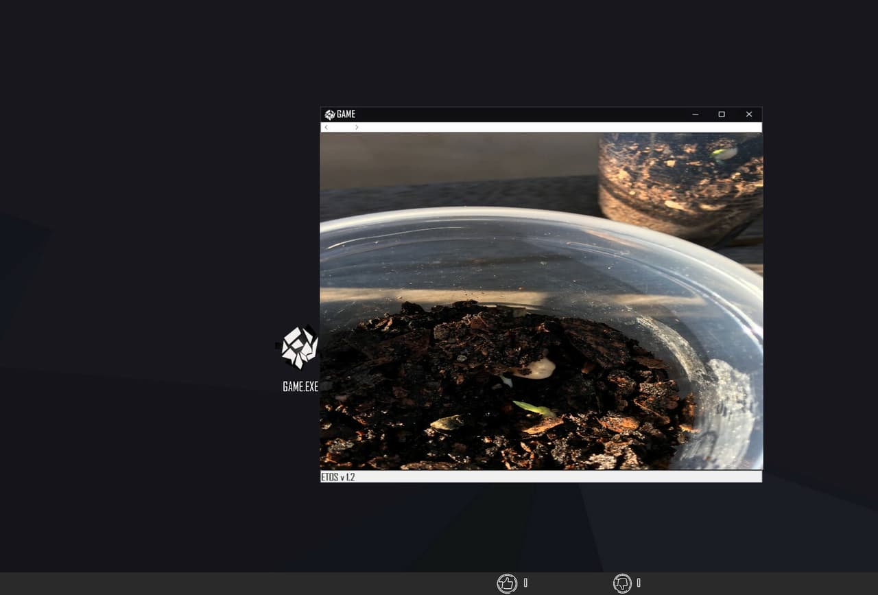 Annual Intruders screenshot 2