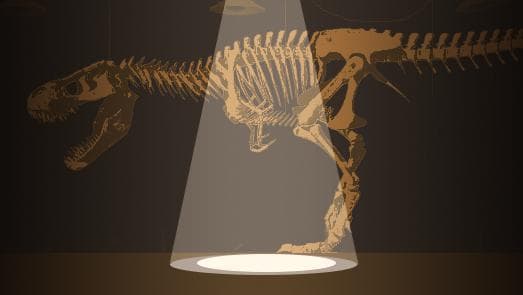 Fright at the Museum