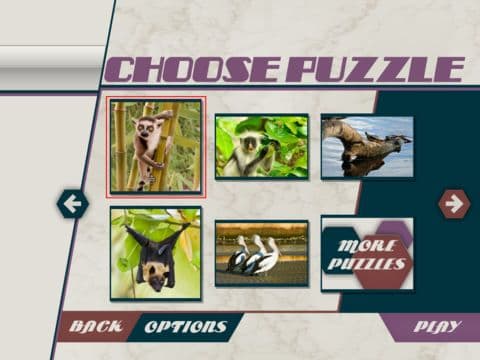 HexSaw - Zoo screenshot 3
