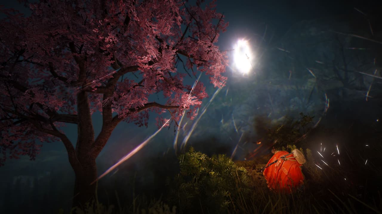 Black Desert Online screenshot 5