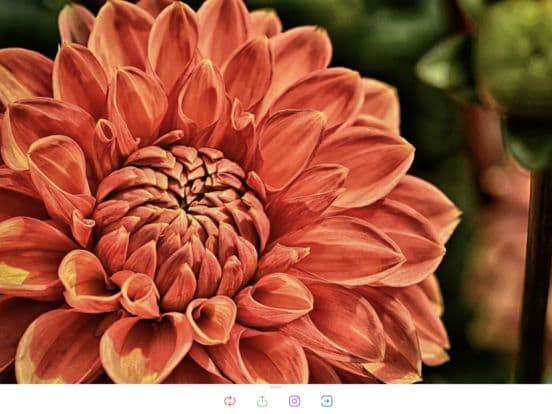 Unlock the Pic screenshot 4
