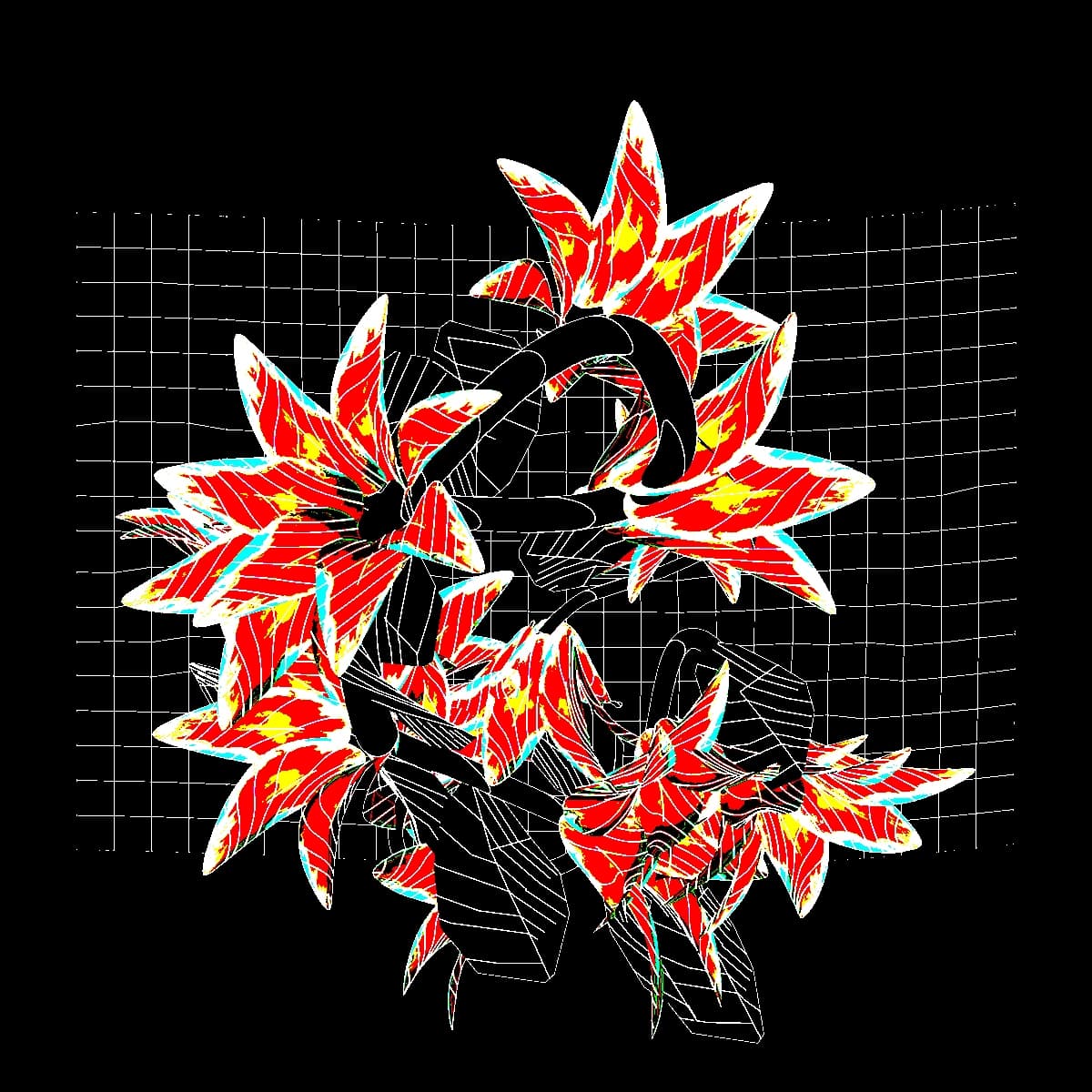 Final_week5