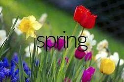 spring 1.0 no code by rsgs