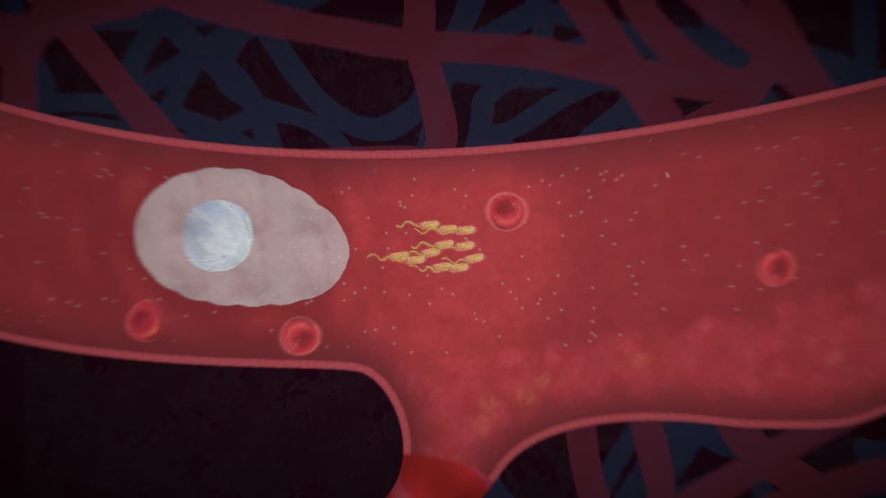 Biorhythm screenshot 6