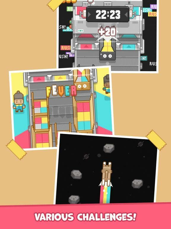 Box It Up! Inc. screenshot 4