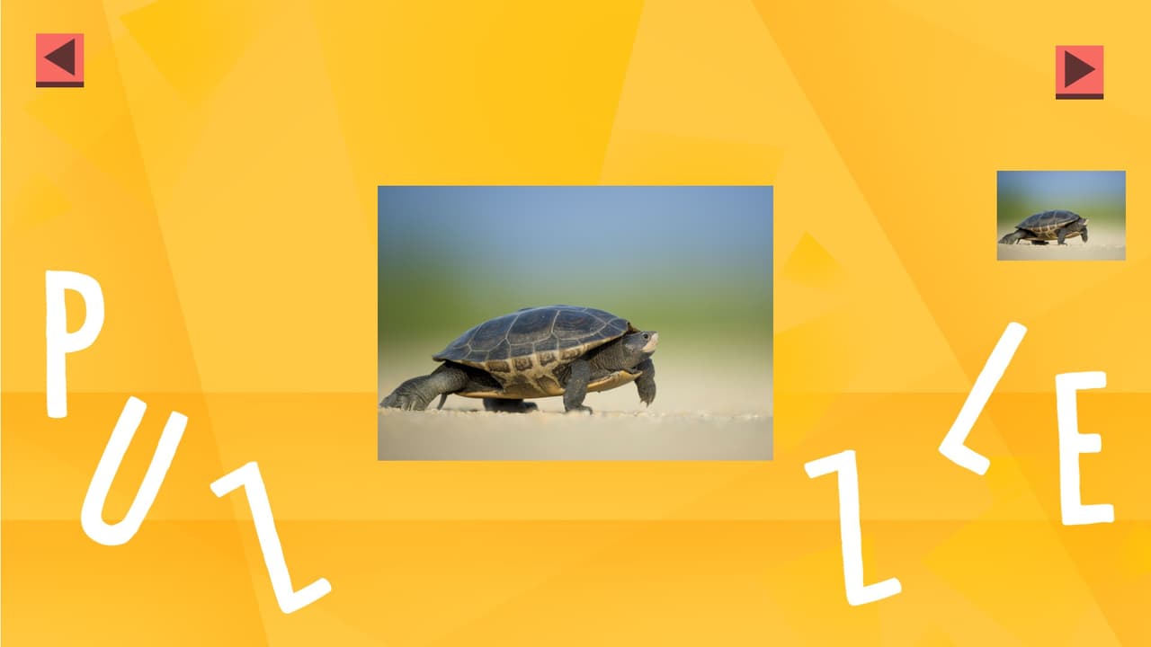 Game Of Puzzles: Animals screenshot 2