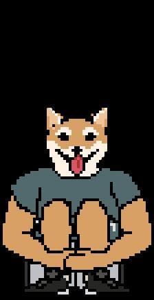 Fatty Shiba