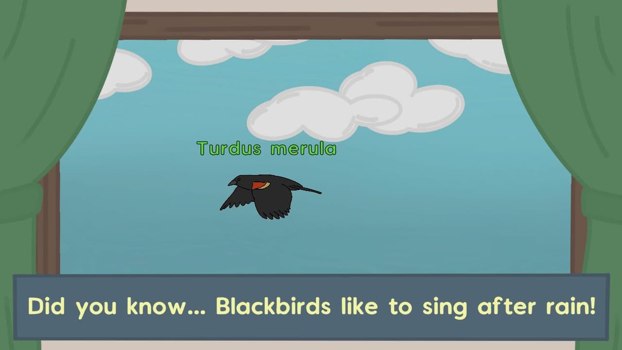 Birdwatching