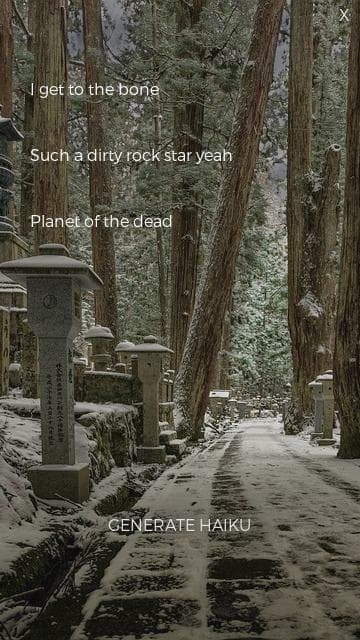 Haunted Haiku Generator screenshot 3
