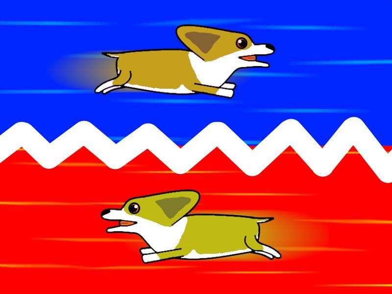 Corgi Overload