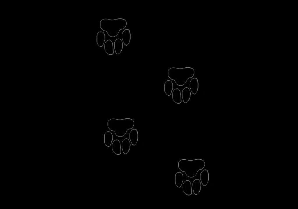 Kweeuu screenshot 5