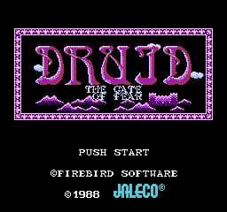 Druid: Kyoufu no Tobira screenshot 2