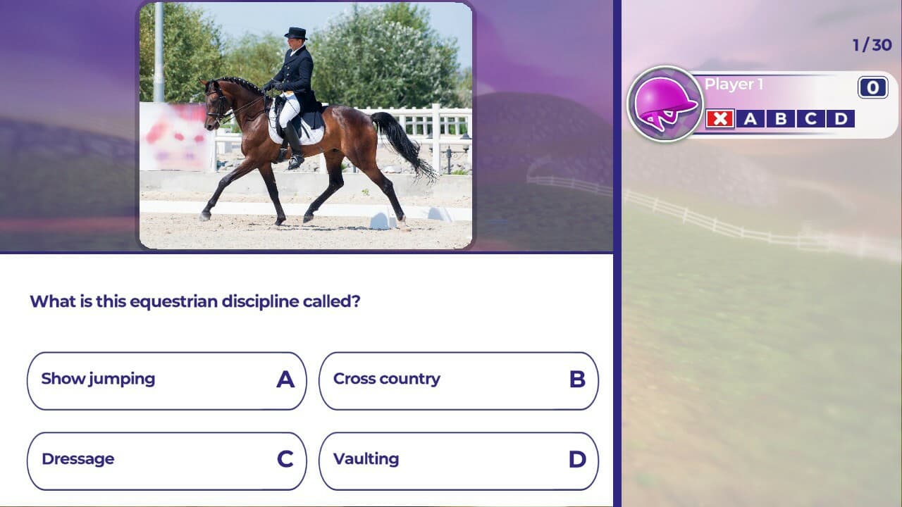Equestrian Training screenshot 2
