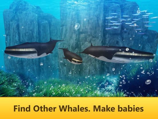 Ocean Whale Simulator: Animal Quest 3D screenshot 3