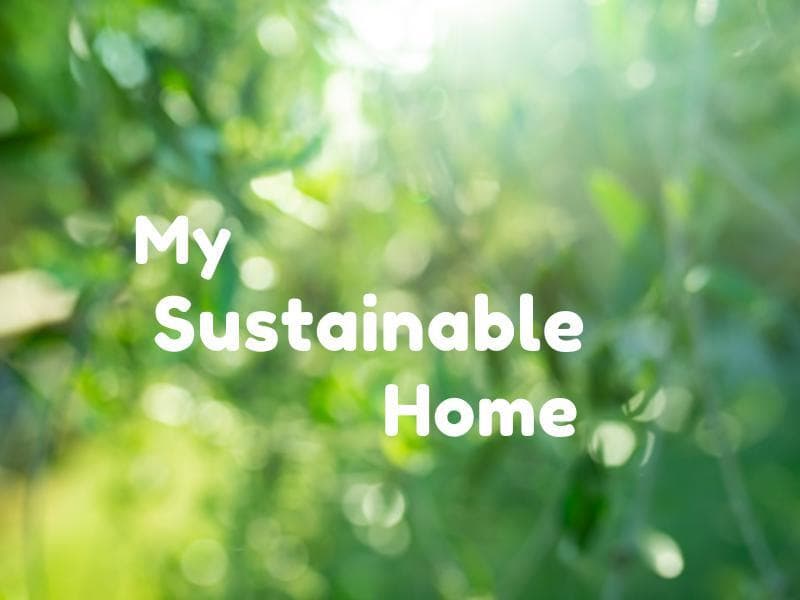 Sustainable VR