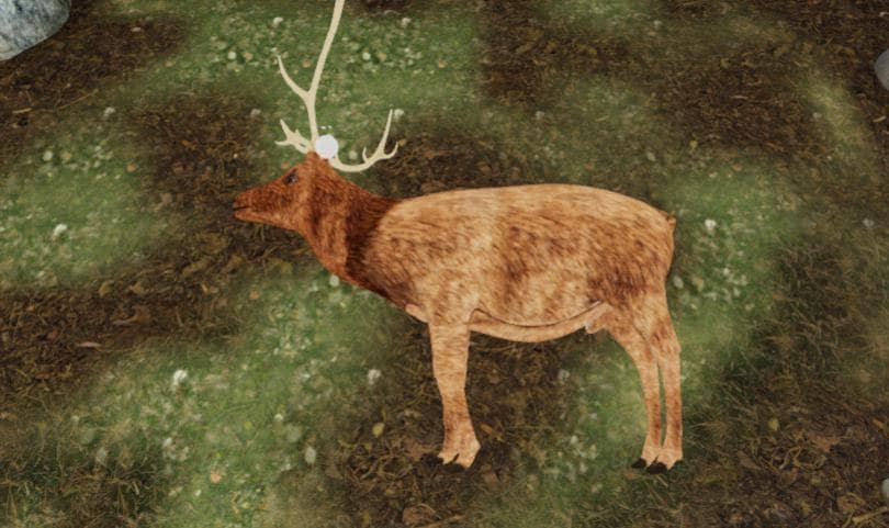Idaho Fish and Game VR Elk Field Dressing Simulation