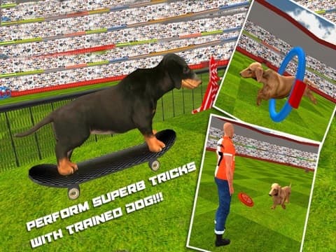 Dog Show Simulator 3D: Train puppies & perform amazing stunts screenshot 3