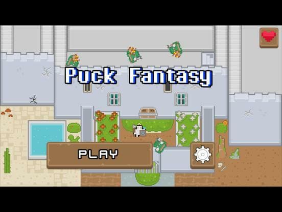 Puck Fantasy screenshot 2